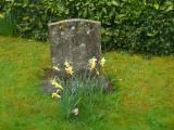 image of grave number 387644
